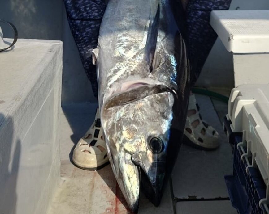 釣り 写真